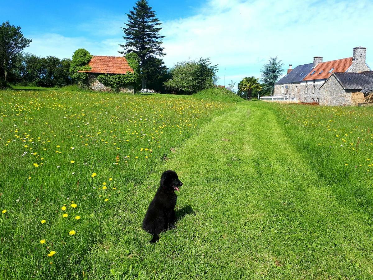 L' Anpeg, Gite Dans Le Cotentin Jusqu'A 8 Personnes Besneville Bagian luar foto